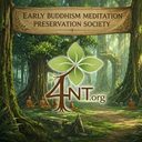 4nt.org